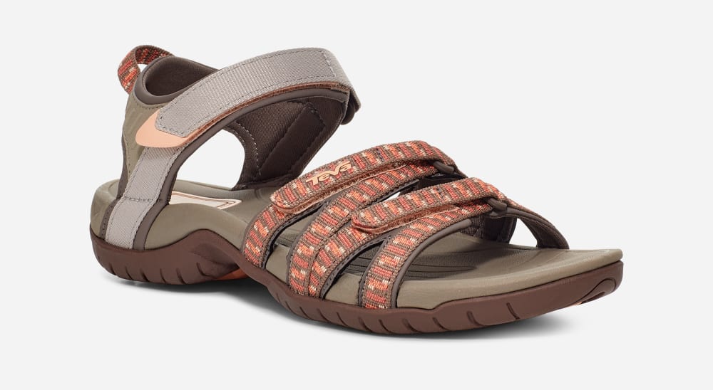 Brown / Orange Teva Tirra Women's Hiking Sandals | Ireland-1549