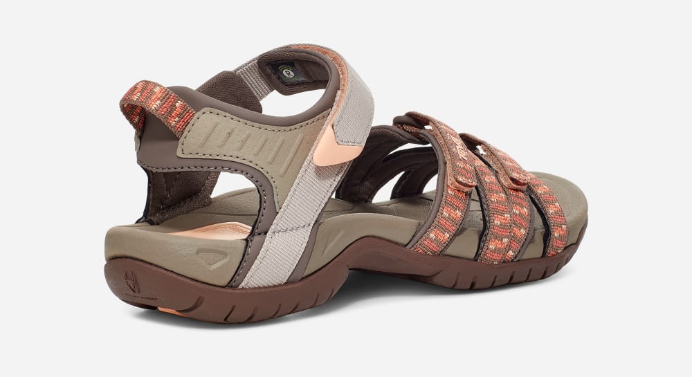 Brown / Orange Teva Tirra Women's Hiking Sandals | Ireland-1549