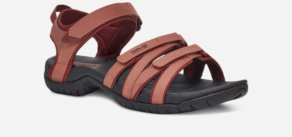 Claret Teva Tirra Women's Hiking Sandals | Ireland-4091