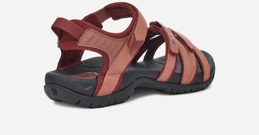 Claret Teva Tirra Women's Hiking Sandals | Ireland-4091