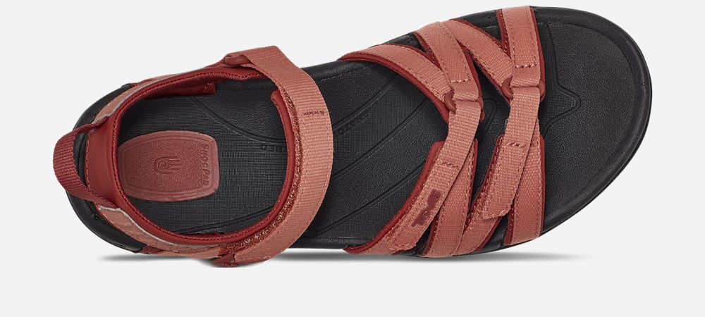 Claret Teva Tirra Women's Hiking Sandals | Ireland-4091