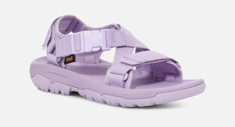 Purple Teva Hurricane Verge Men's Hiking Sandals | Ireland-2569