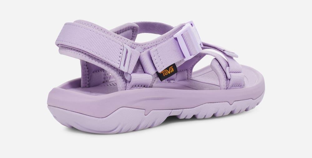 Purple Teva Hurricane Verge Men's Hiking Sandals | Ireland-2569