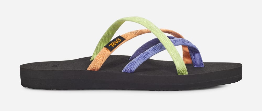 Multicolor Teva Olowahu Women's Flip Flops | Ireland-3124